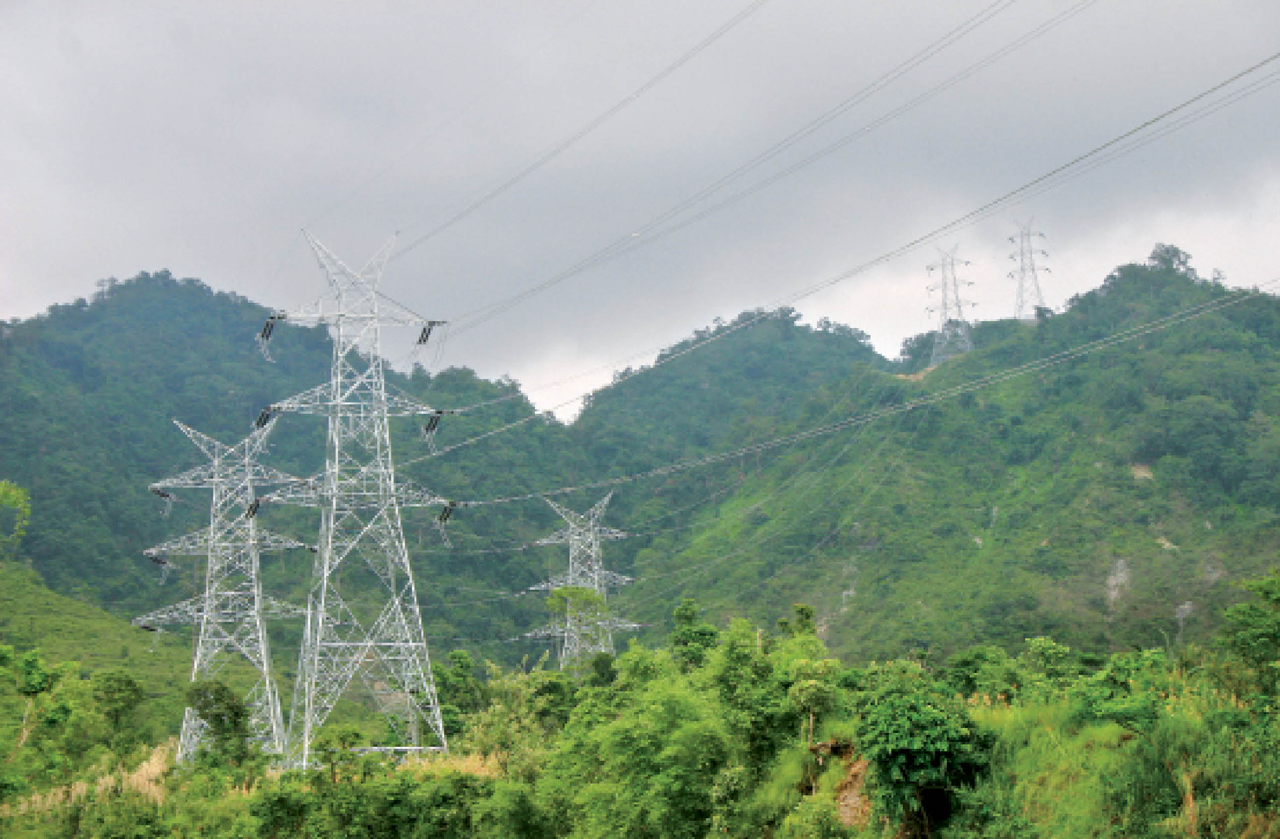 Sustainable Development: The Powergrid Approach